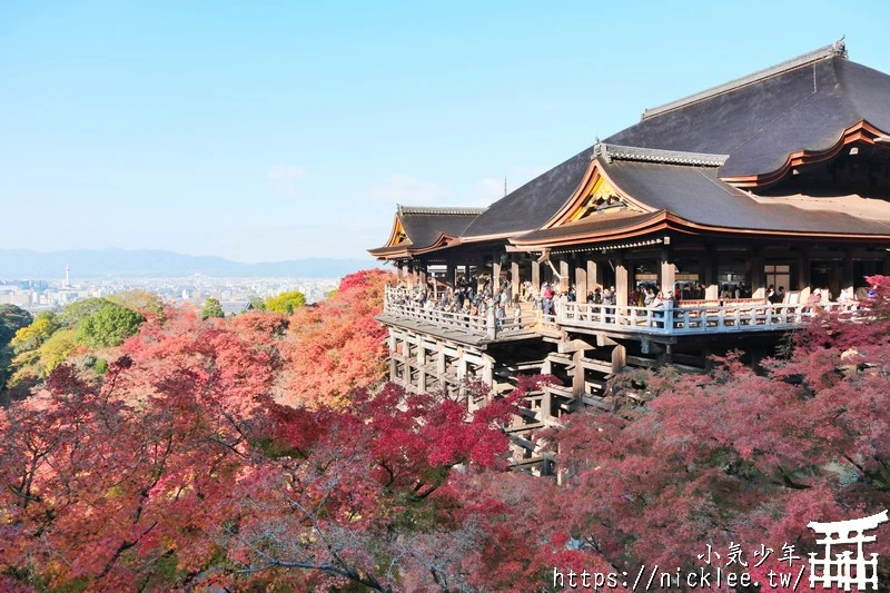 京都清水寺-春天櫻花季與秋天楓葉季建議新手一定要來,夜櫻夜楓也推薦