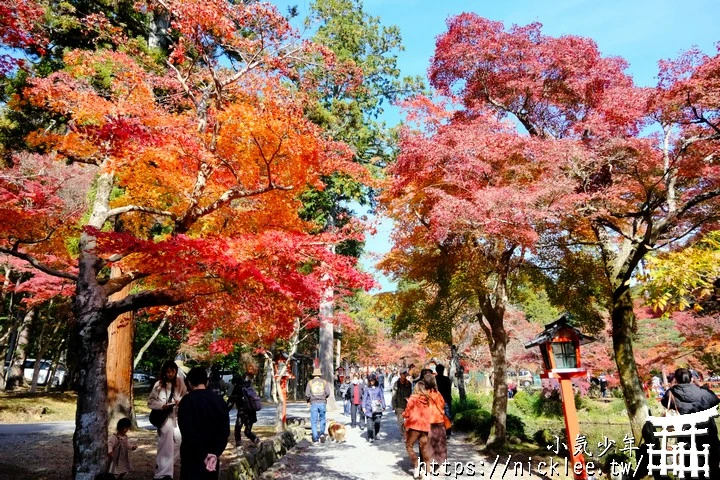 京都大原野神社-春日大社第一分社,有「京春日」之稱,亦為「源氏物語」故事場景之一