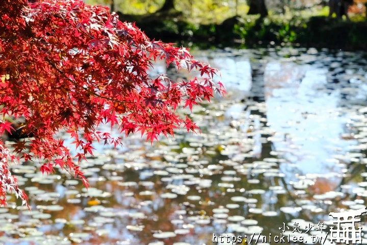 京都大原野神社-春日大社第一分社,有「京春日」之稱,亦為「源氏物語」故事場景之一