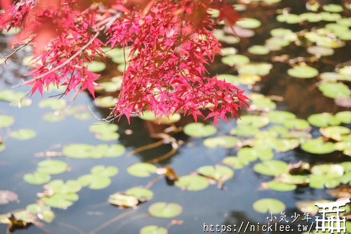 京都大原野神社-春日大社第一分社,有「京春日」之稱,亦為「源氏物語」故事場景之一