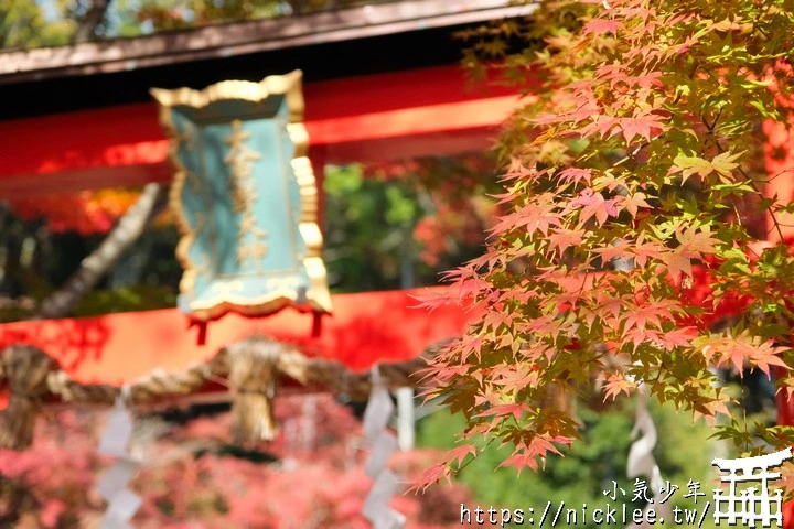 京都大原野神社-春日大社第一分社,有「京春日」之稱,亦為「源氏物語」故事場景之一