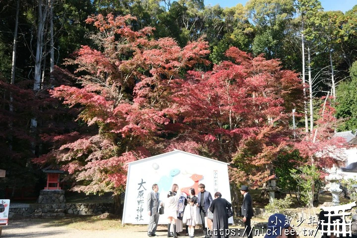 京都大原野神社-春日大社第一分社,有「京春日」之稱,亦為「源氏物語」故事場景之一