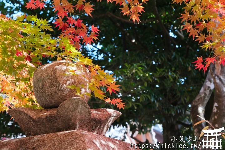京都大原野神社-春日大社第一分社,有「京春日」之稱,亦為「源氏物語」故事場景之一