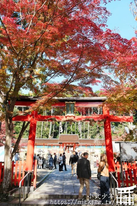 京都大原野神社-春日大社第一分社,有「京春日」之稱,亦為「源氏物語」故事場景之一