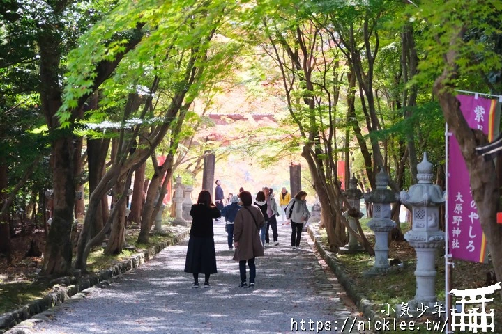 京都大原野神社-春日大社第一分社,有「京春日」之稱,亦為「源氏物語」故事場景之一