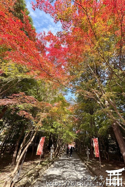 京都大原野神社-春日大社第一分社,有「京春日」之稱,亦為「源氏物語」故事場景之一