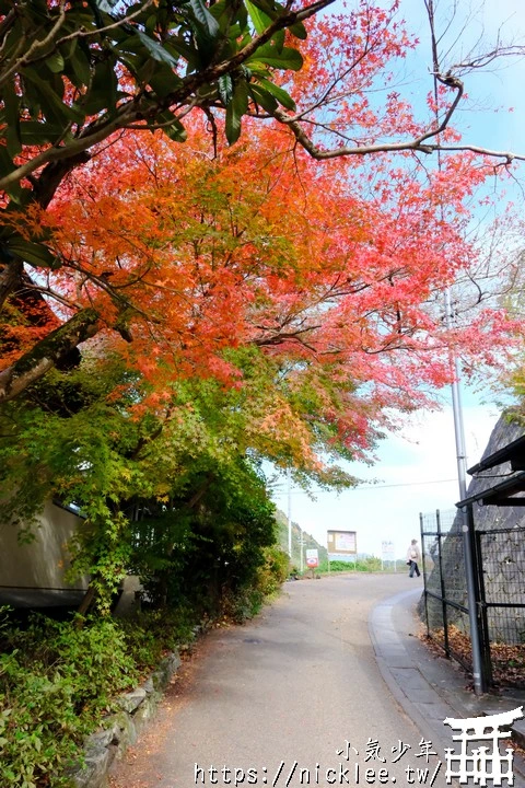 京都賞楓景點-大原三千院-順便欣賞少見的京都鄉下田原風光