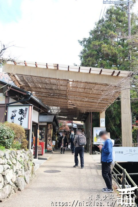 京都賞楓景點-大原三千院-順便欣賞少見的京都鄉下田原風光