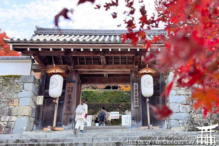 京都賞楓景點-大原三千院-順便欣賞少見的京都鄉下田原風光