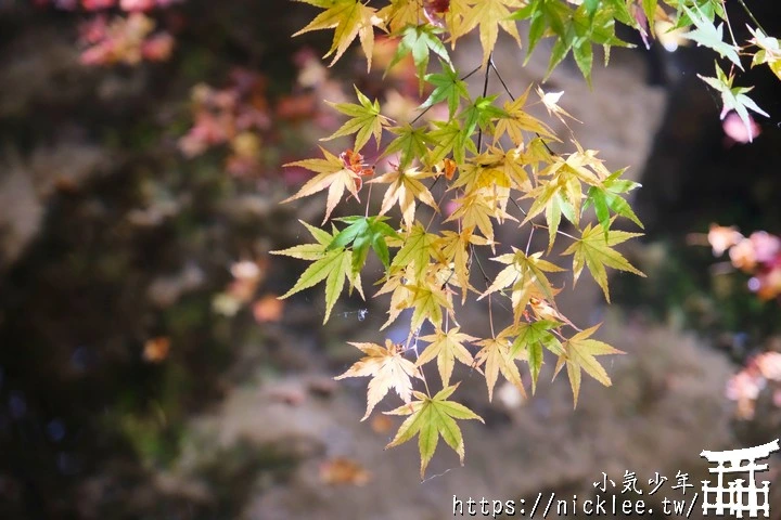 京都賞楓景點-大原三千院-順便欣賞少見的京都鄉下田原風光