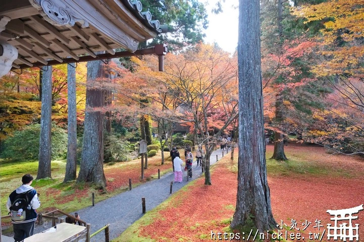 京都賞楓景點-大原三千院-順便欣賞少見的京都鄉下田原風光