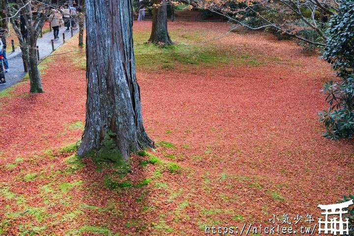 京都賞楓景點-大原三千院-順便欣賞少見的京都鄉下田原風光