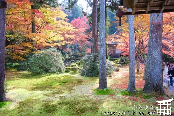 京都賞楓景點-大原三千院-順便欣賞少見的京都鄉下田原風光