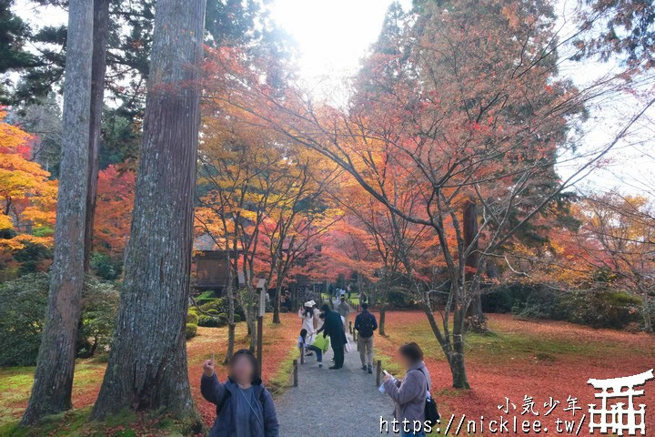 京都賞楓景點-大原三千院-順便欣賞少見的京都鄉下田原風光