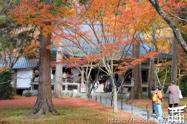 京都賞楓景點-大原三千院-順便欣賞少見的京都鄉下田原風光