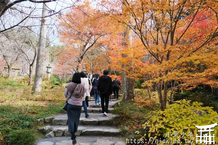 京都賞楓景點-大原三千院-順便欣賞少見的京都鄉下田原風光