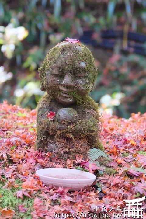 京都賞楓景點-大原三千院-順便欣賞少見的京都鄉下田原風光