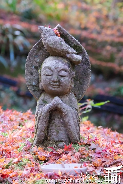 京都賞楓景點-大原三千院-順便欣賞少見的京都鄉下田原風光