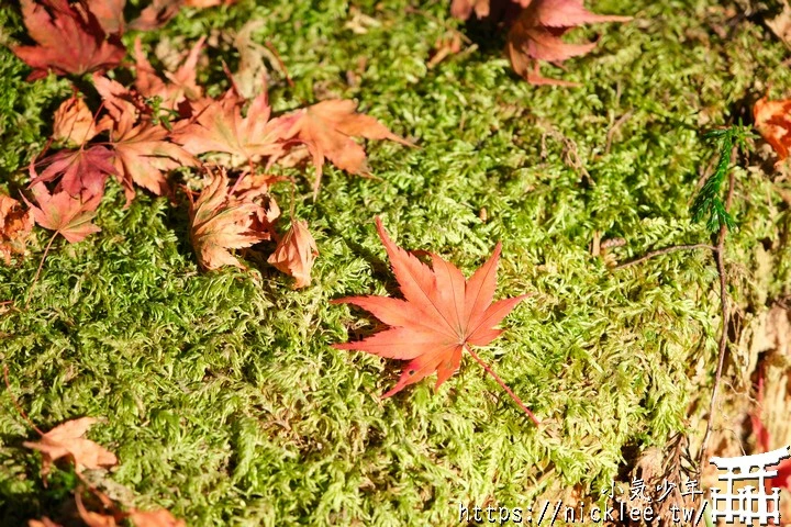 京都賞楓景點-大原三千院-順便欣賞少見的京都鄉下田原風光