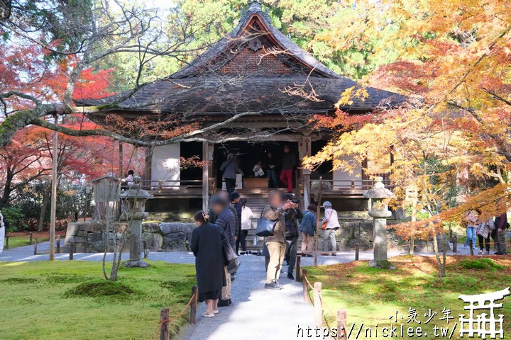京都賞楓景點-大原三千院-順便欣賞少見的京都鄉下田原風光