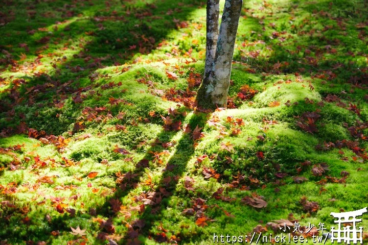 京都賞楓景點-大原三千院-順便欣賞少見的京都鄉下田原風光