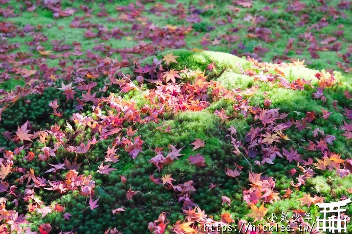 京都賞楓景點-大原三千院-順便欣賞少見的京都鄉下田原風光