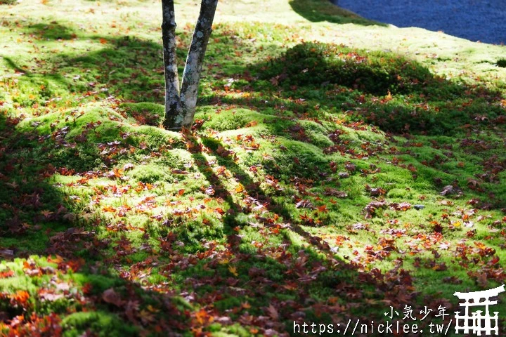 京都賞楓景點-大原三千院-順便欣賞少見的京都鄉下田原風光