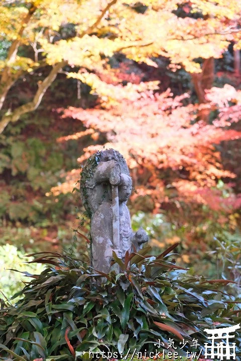 京都賞楓景點-大原三千院-順便欣賞少見的京都鄉下田原風光