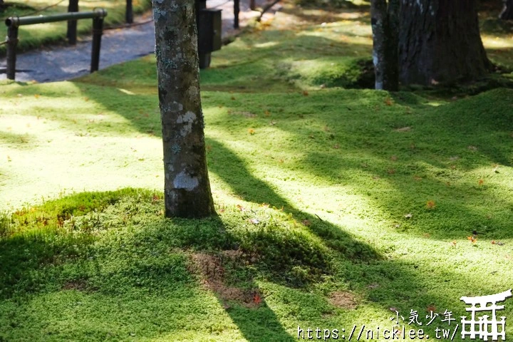 京都賞楓景點-大原三千院-順便欣賞少見的京都鄉下田原風光