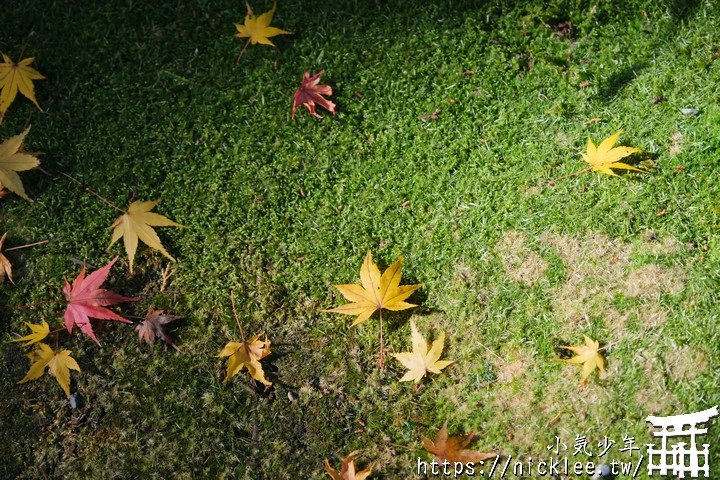 京都賞楓景點-大原三千院-順便欣賞少見的京都鄉下田原風光