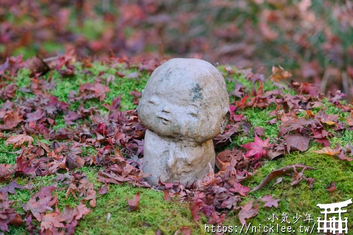 京都賞楓景點-大原三千院-順便欣賞少見的京都鄉下田原風光