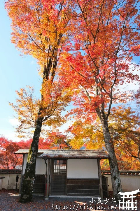 京都賞楓景點-大原三千院-順便欣賞少見的京都鄉下田原風光