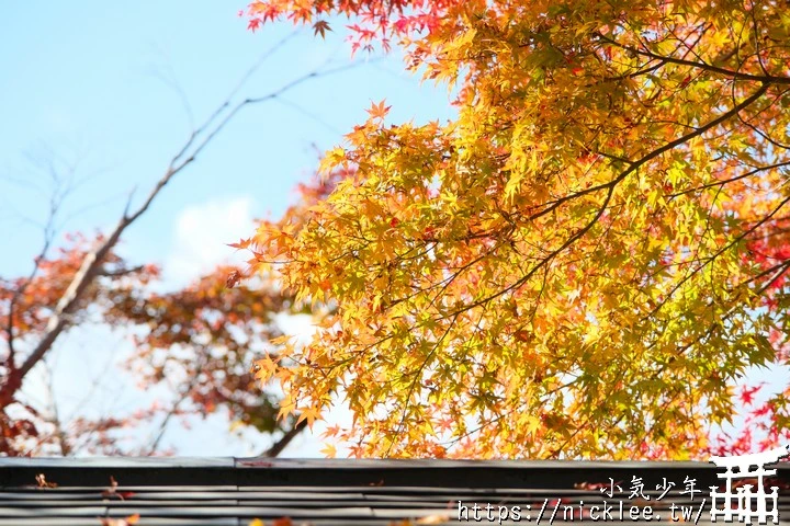 京都賞楓景點-大原三千院-順便欣賞少見的京都鄉下田原風光