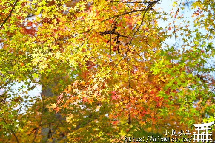 京都正法寺-寺院環境清幽,至今仍保有平安時代的古樸氣息