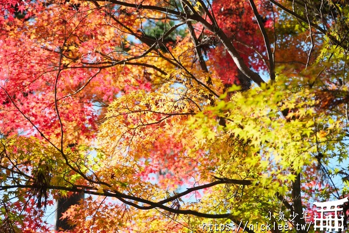 京都正法寺-寺院環境清幽,至今仍保有平安時代的古樸氣息