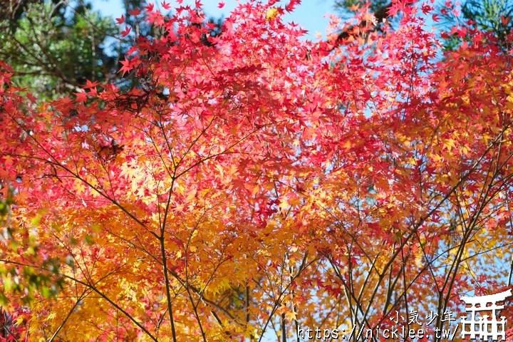 京都正法寺-寺院環境清幽,至今仍保有平安時代的古樸氣息