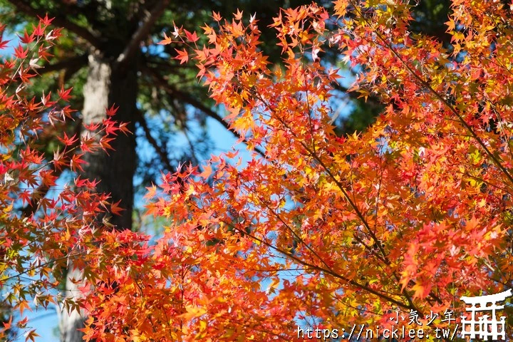 京都正法寺-寺院環境清幽,至今仍保有平安時代的古樸氣息