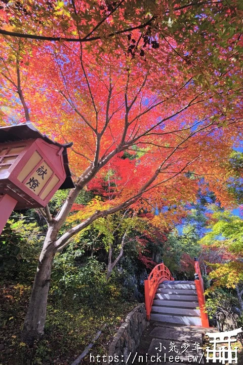 京都正法寺-寺院環境清幽,至今仍保有平安時代的古樸氣息