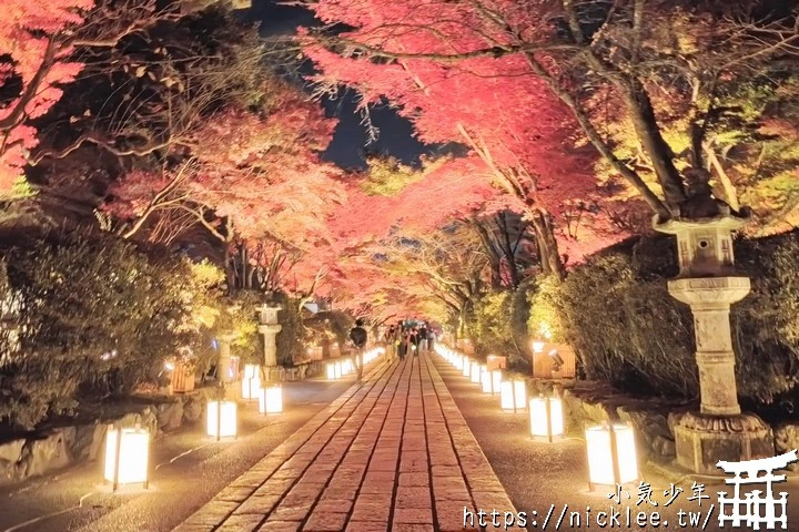 石山寺夜楓-賞楓氣氛不錯,還有手提燈籠提供拍照,重點是遊客不多