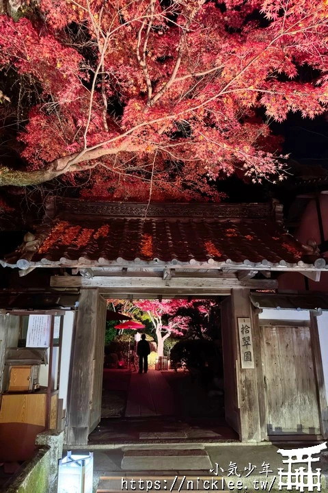 石山寺夜楓-賞楓氣氛不錯,還有手提燈籠提供拍照,重點是遊客不多