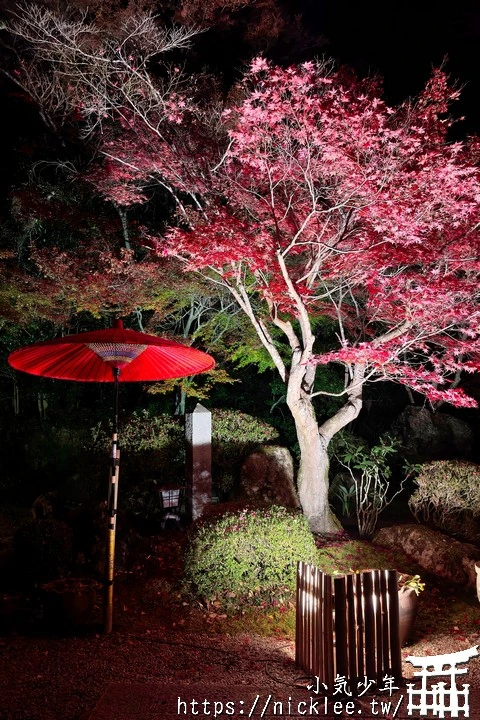 石山寺夜楓-賞楓氣氛不錯,還有手提燈籠提供拍照,重點是遊客不多