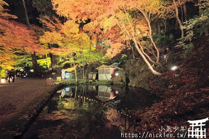 石山寺夜楓-賞楓氣氛不錯,還有手提燈籠提供拍照,重點是遊客不多