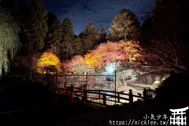 石山寺夜楓-賞楓氣氛不錯,還有手提燈籠提供拍照,重點是遊客不多