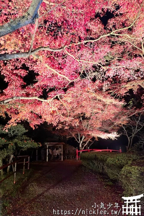石山寺夜楓-賞楓氣氛不錯,還有手提燈籠提供拍照,重點是遊客不多