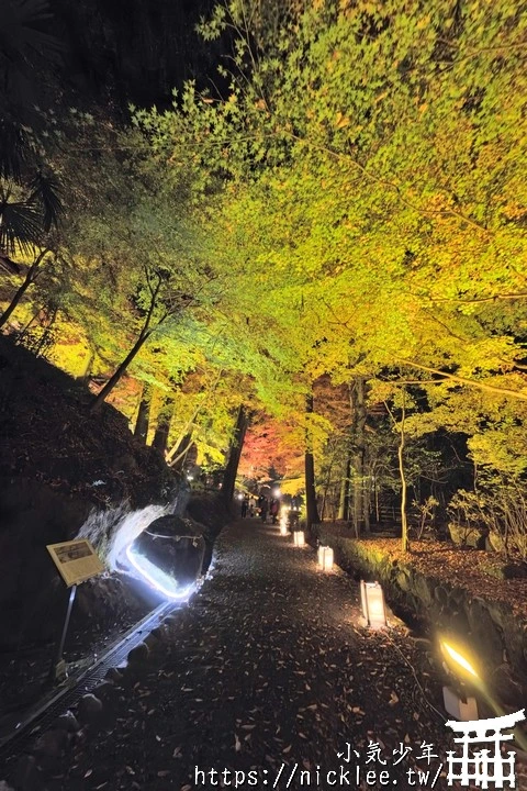 石山寺夜楓-賞楓氣氛不錯,還有手提燈籠提供拍照,重點是遊客不多