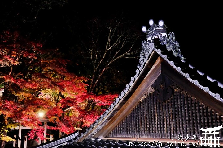 石山寺夜楓-賞楓氣氛不錯,還有手提燈籠提供拍照,重點是遊客不多