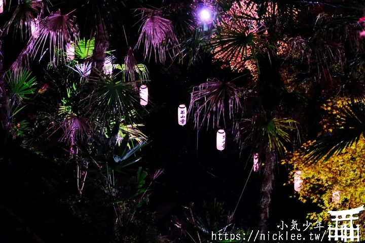 石山寺夜楓-賞楓氣氛不錯,還有手提燈籠提供拍照,重點是遊客不多