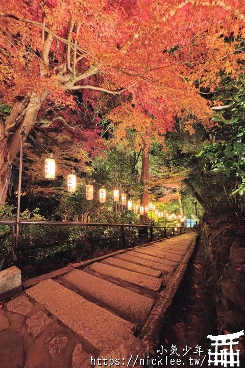 石山寺夜楓-賞楓氣氛不錯,還有手提燈籠提供拍照,重點是遊客不多