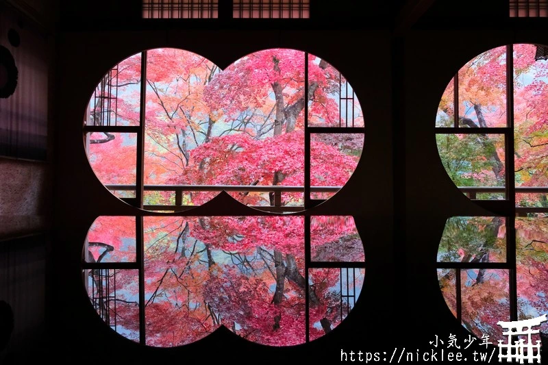 京都賞楓、紅葉、夜楓情報