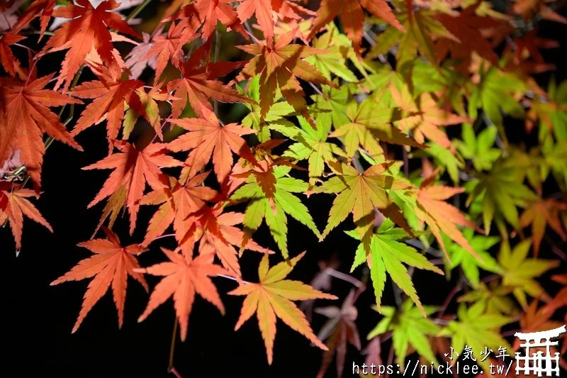 京都行程懶人包- 賞櫻、賞楓都適宜的南禪寺路線